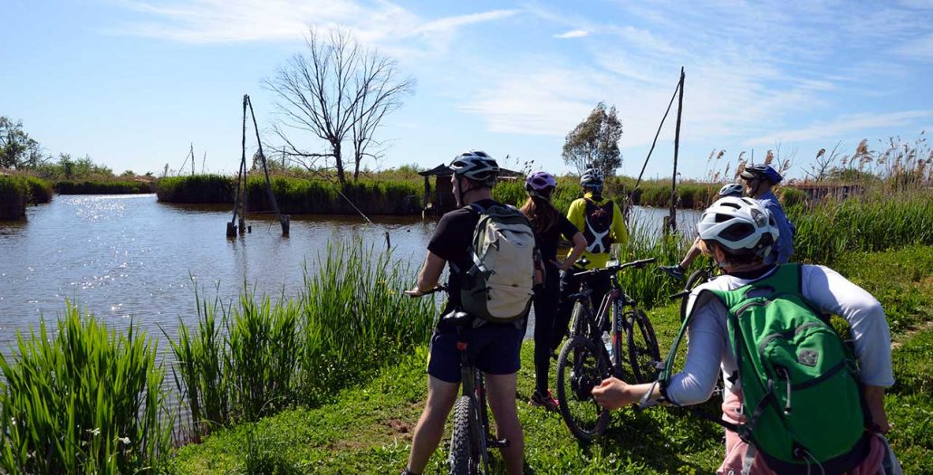 E-Bike-Tour rund um den Lago di Massaciuccoli Radfahren rund um den Lago di Massaciuccoli in der Versilia