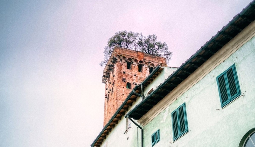 Torre Guinigi a Lucca