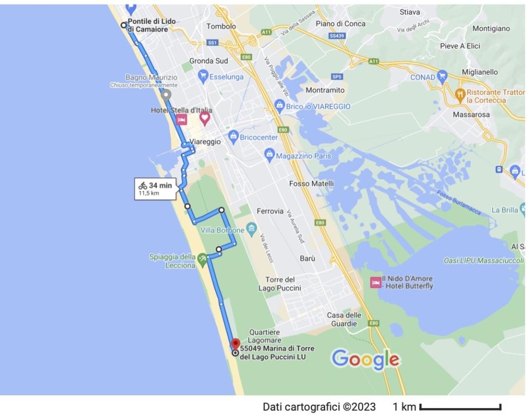 Sentiero nella pineta verso Marina di Torre del Lago Puccini