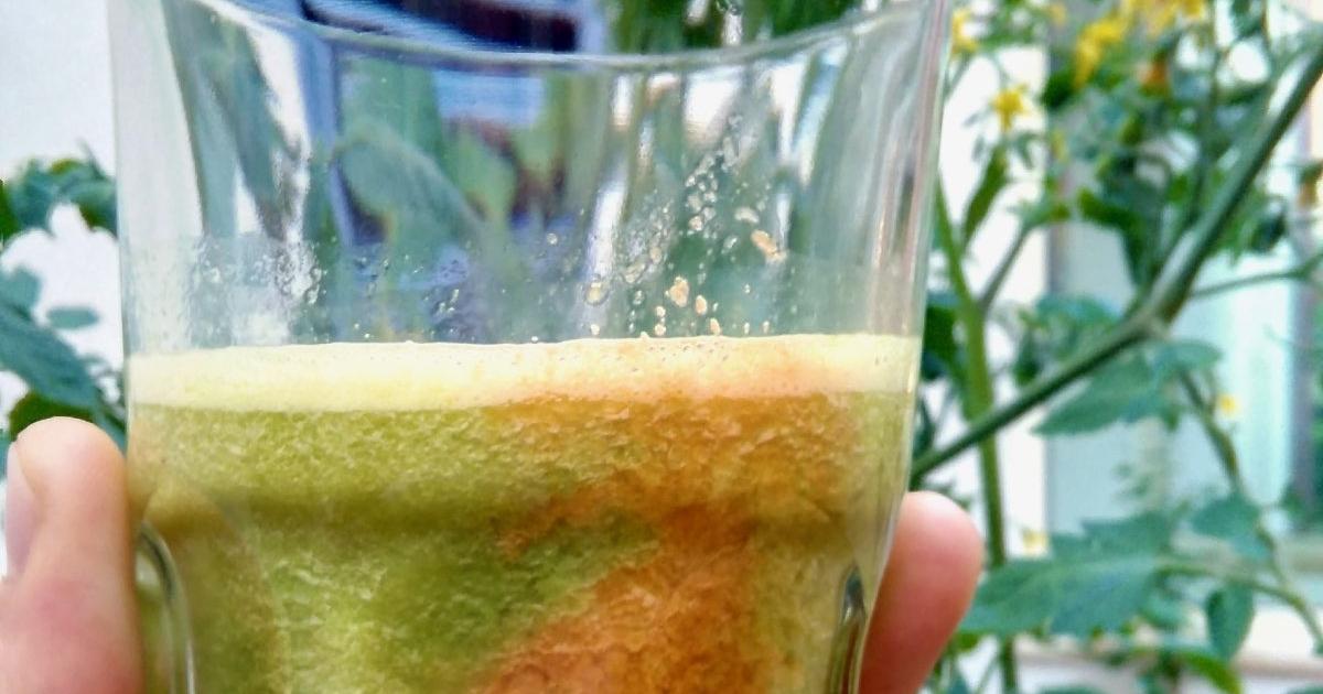 centrifugati freschi al petit hotel lido di camaiore centrifugati di frutta fresca al petit hotel lido di camaiore