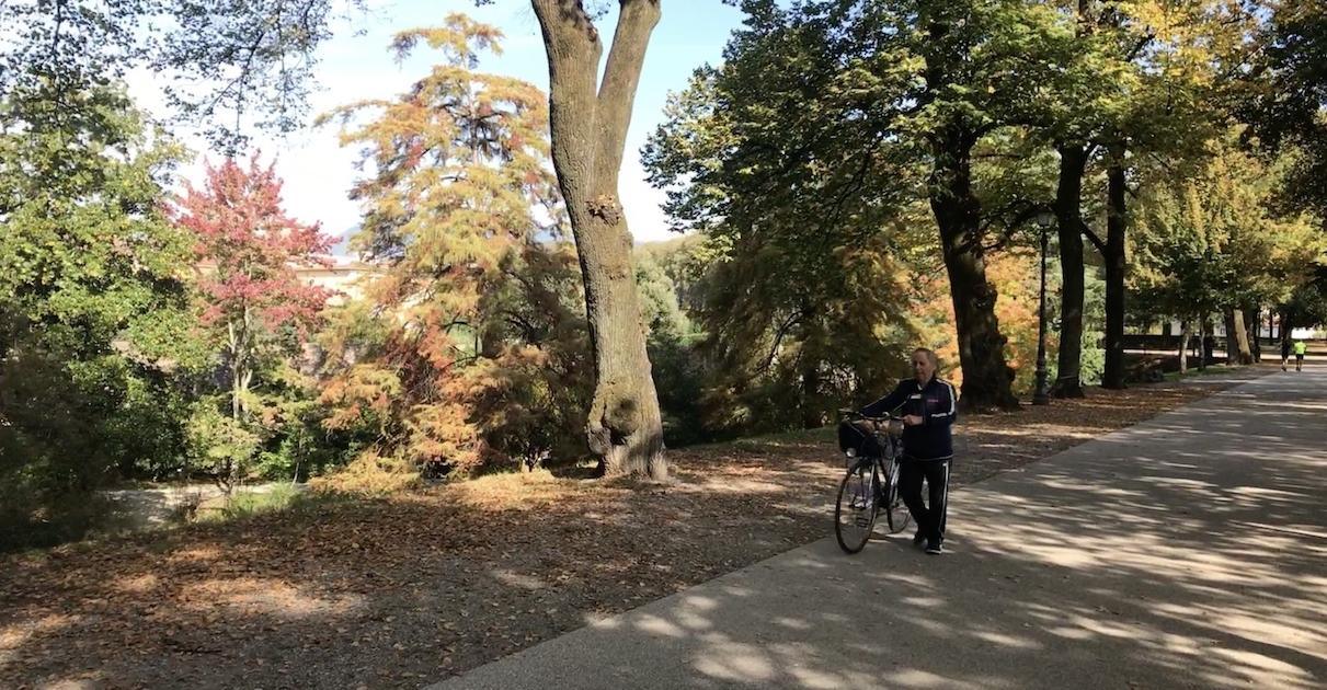 Day 1 of the Versilia itinerary: bike ride to Viareggio